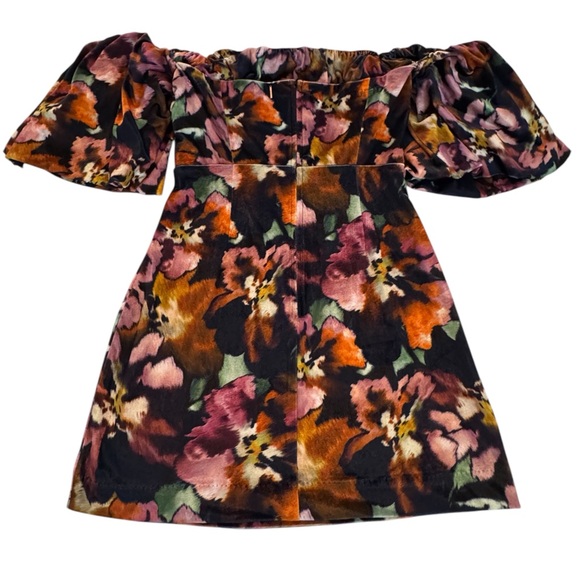 NWT MISA Anetta Painterly Libra Fleur Velvet Off the Shoulder Mini Dress - Picture 5 of 13